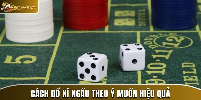 Cách Đổ Xí Ngầu Theo Ý Muốn Được Nhiều Cao Thủ Áp Dụng 3 Cách đổ xí ngầu theo ý muốn hiệu quả