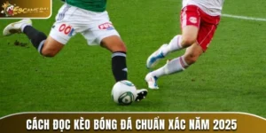 cách đọc kèo bóng đá