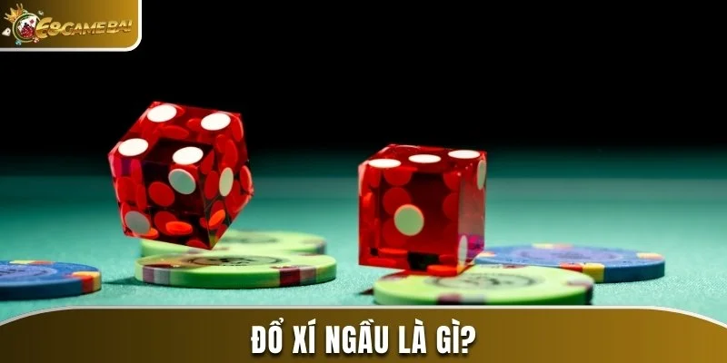 Cách Đổ Xí Ngầu Theo Ý Muốn Được Nhiều Cao Thủ Áp Dụng 1 Đổ xí ngầu là gì?