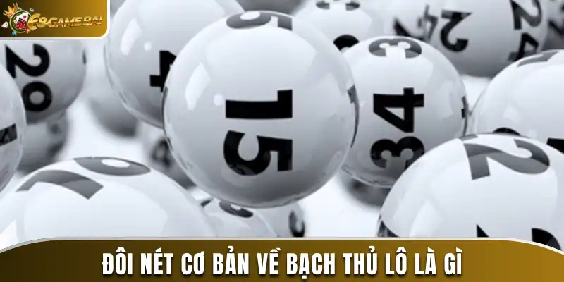 Đôi nét cơ bản về bạch thủ lô là gì
