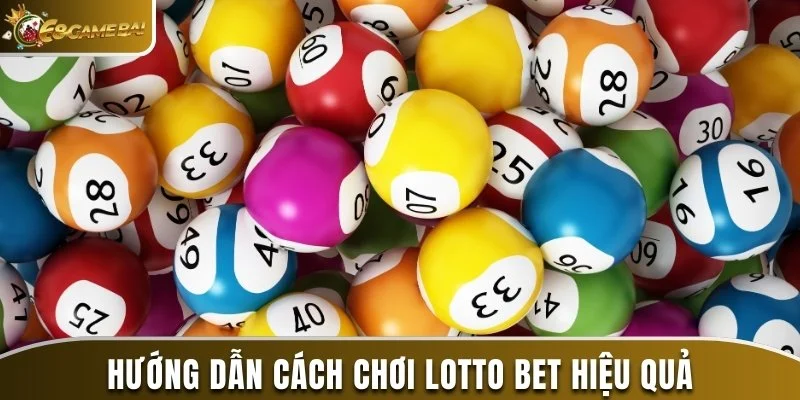 Hướng Dẫn Cách Chơi Lotto Bet Từ A Đến Z Cho Tân Binh 3 Hướng dẫn cách chơi Lotto Bet hiệu quả