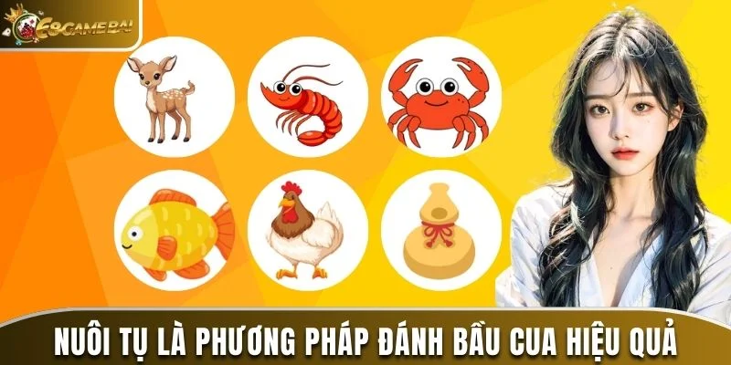 Mẹo Chơi Bầu Cua Tôm Cá Trên Điện Thoại Siêu Đỉnh 2025 3 Nuôi tụ là phương pháp đánh bầu cua hiệu quả